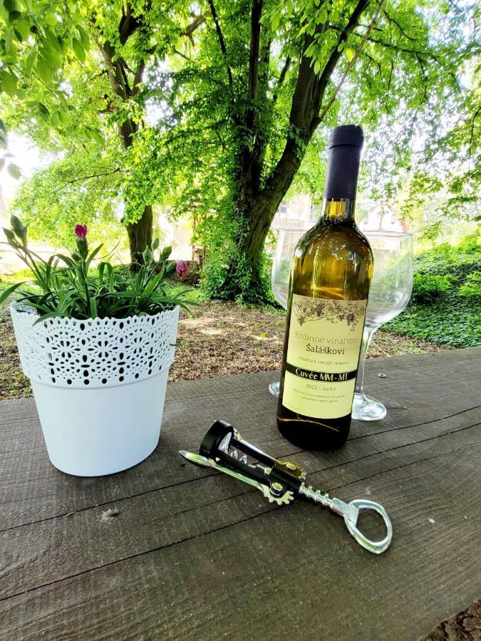Chateau Moravany - Apartmany, Teepee A Wellness Ronov Nad Doubravou Bagian luar foto