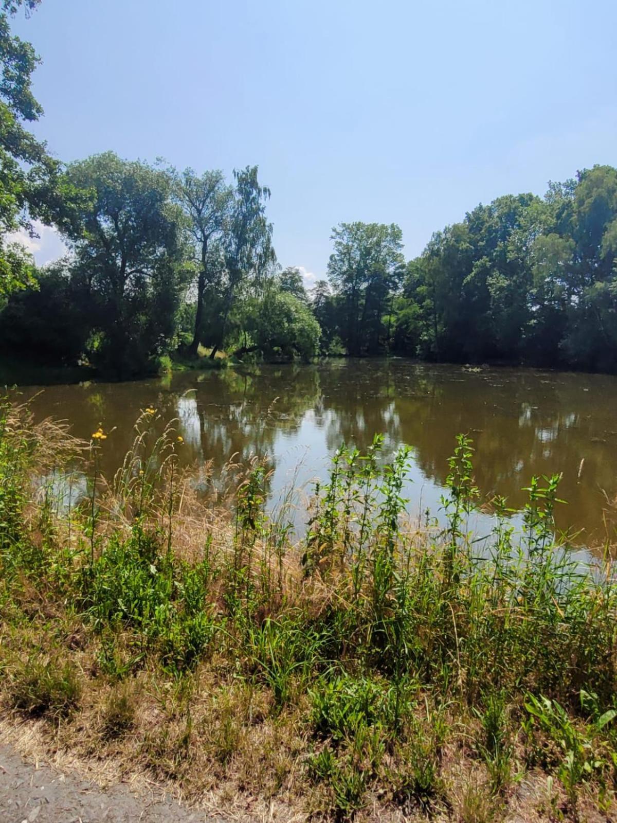 Chateau Moravany - Apartmany, Teepee A Wellness Ronov Nad Doubravou Bagian luar foto